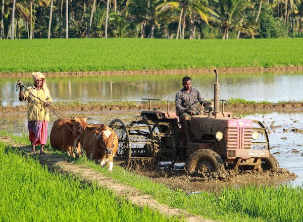 Agro-Based Industries